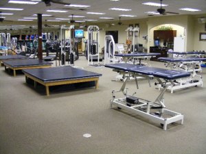 physical therapy 1